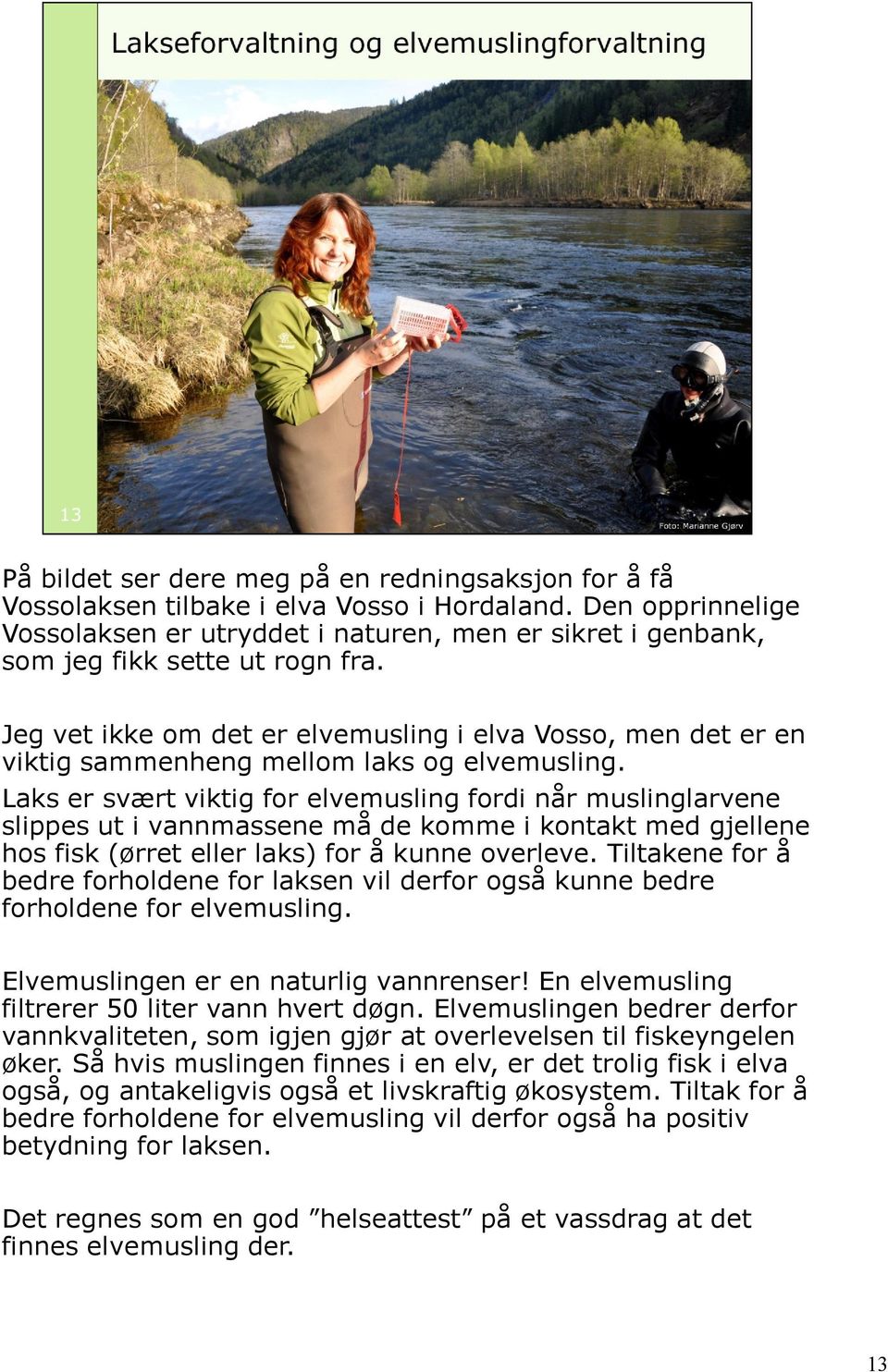 Jeg vet ikke om det er elvemusling i elva Vosso, men det er en viktig sammenheng mellom laks og elvemusling.