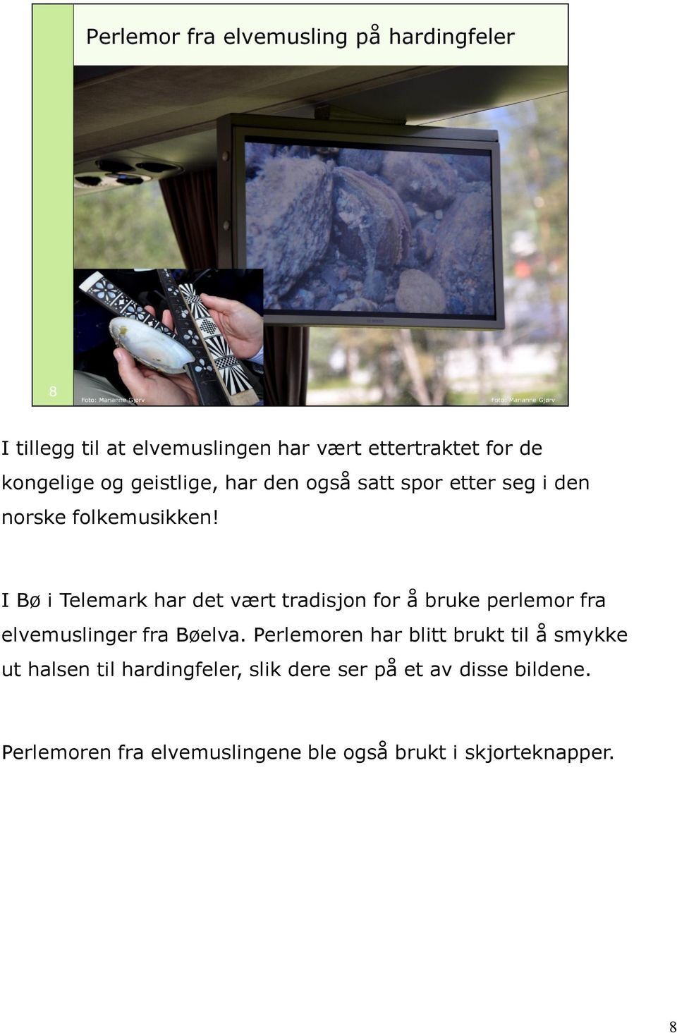 I Bø i Telemark har det vært tradisjon for å bruke perlemor fra elvemuslinger fra Bøelva.