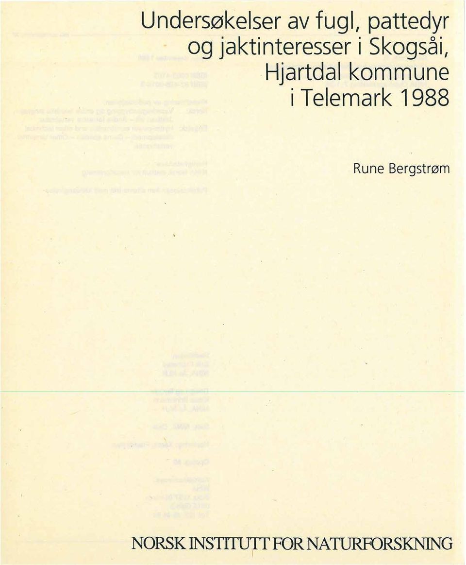 kommune i Telemark 1988 Rune