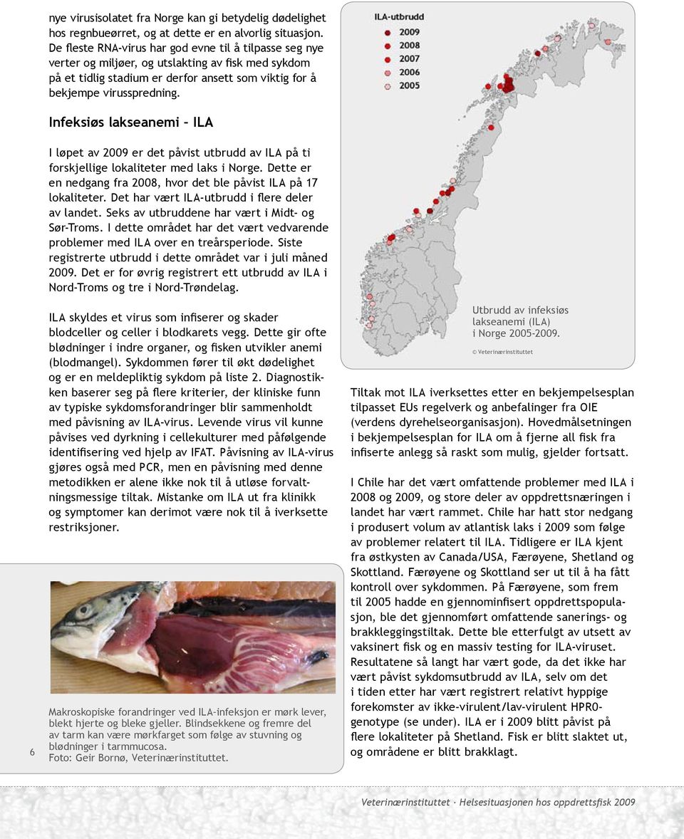 Infeksiøs lakseanemi ILA I løpet av 2009 er det påvist utbrudd av ILA på ti forskjellige lokaliteter med laks i Norge. Dette er en nedgang fra 2008, hvor det ble påvist ILA på 17 lokaliteter.