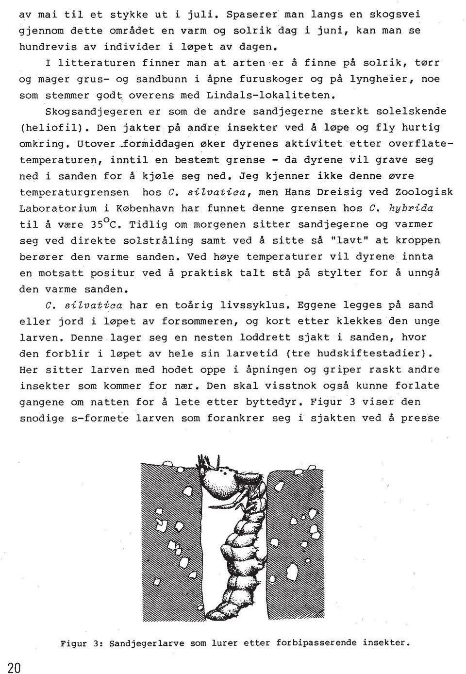 Skogsandjegeren er som de andre sandjegerne sterkt solelskende (heliofil). Den jakter pd andre insekter ved d lape og fly hurtig omkring.