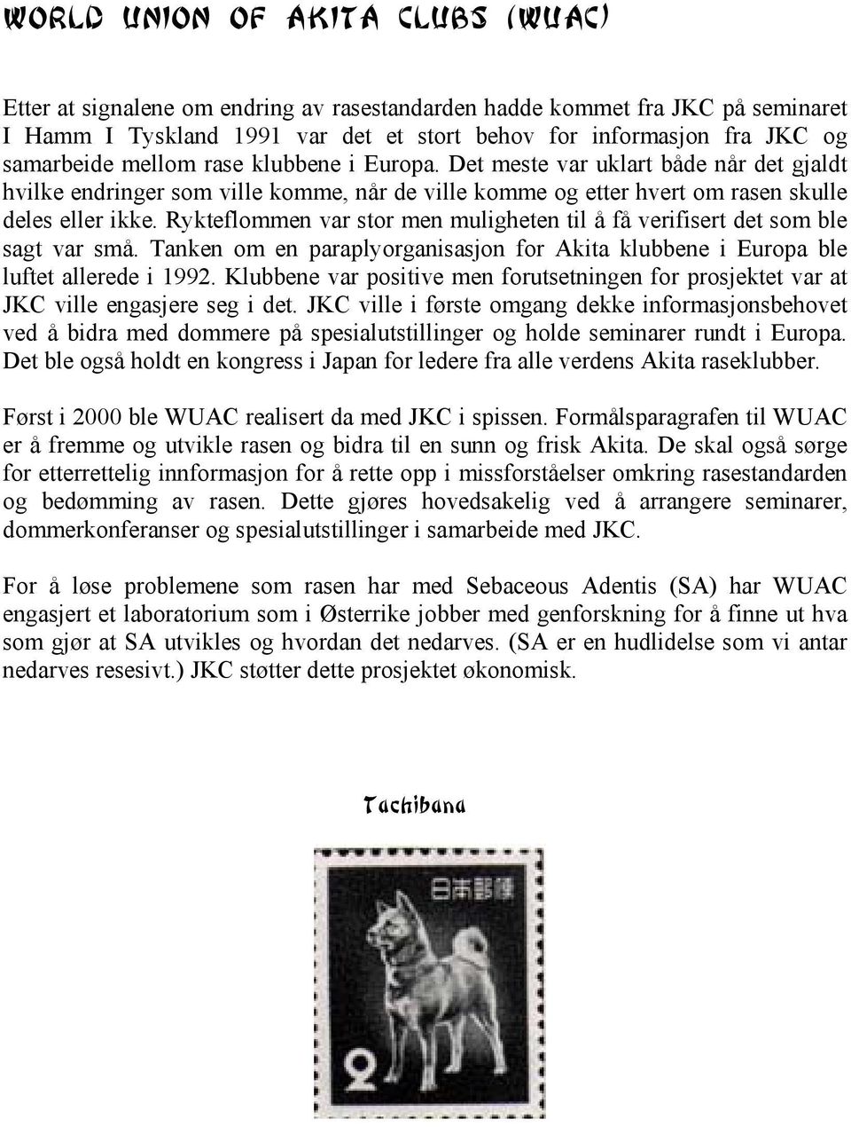Rykteflommen var stor men muligheten til å få verifisert det som ble sagt var små. Tanken om en paraplyorganisasjon for Akita klubbene i Europa ble luftet allerede i 2.