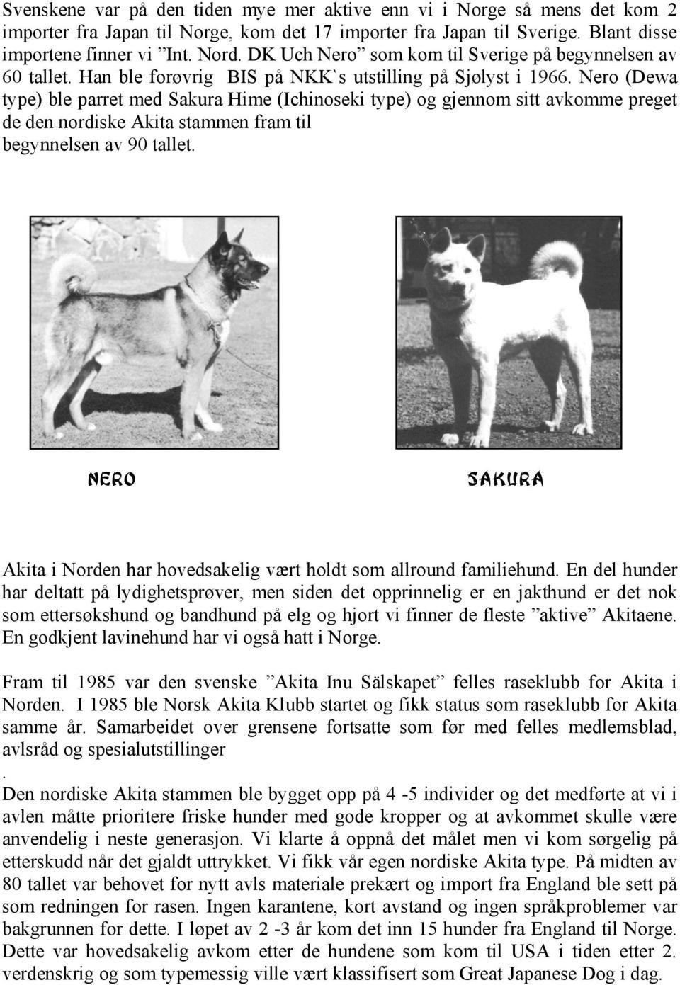 Nero (Dewa type) ble parret med Sakura Hime (Ichinoseki type) og gjennom sitt avkomme preget de den nordiske Akita stammen fram til begynnelsen av 90 tallet.