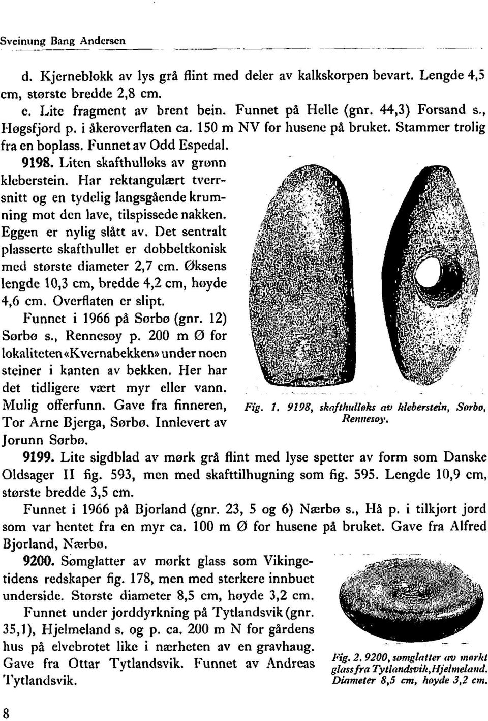 Har rektangulært tverrsnitt og en tydelig langsgående krumning mot den lave, tilspissedc nakken. Eggen er nylig slått av.