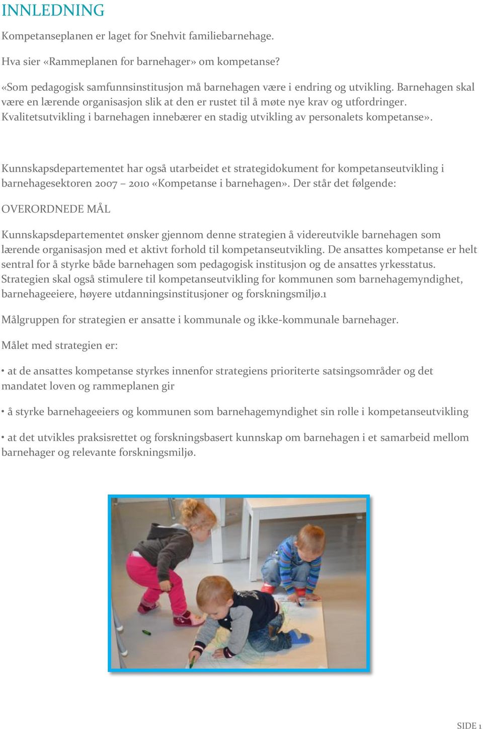 Kunnskapsdepartementet har også utarbeidet et strategidokument for kompetanseutvikling i barnehagesektoren 2007 2010 «Kompetanse i barnehagen».