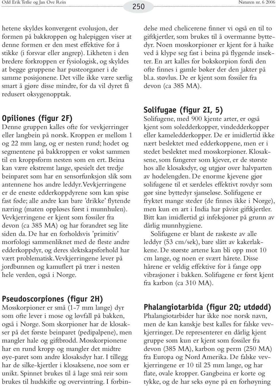 Likheten i den bredere forkroppen er fysiologisk, og skyldes at begge gruppene har pusteorganer i de samme posisjonene.