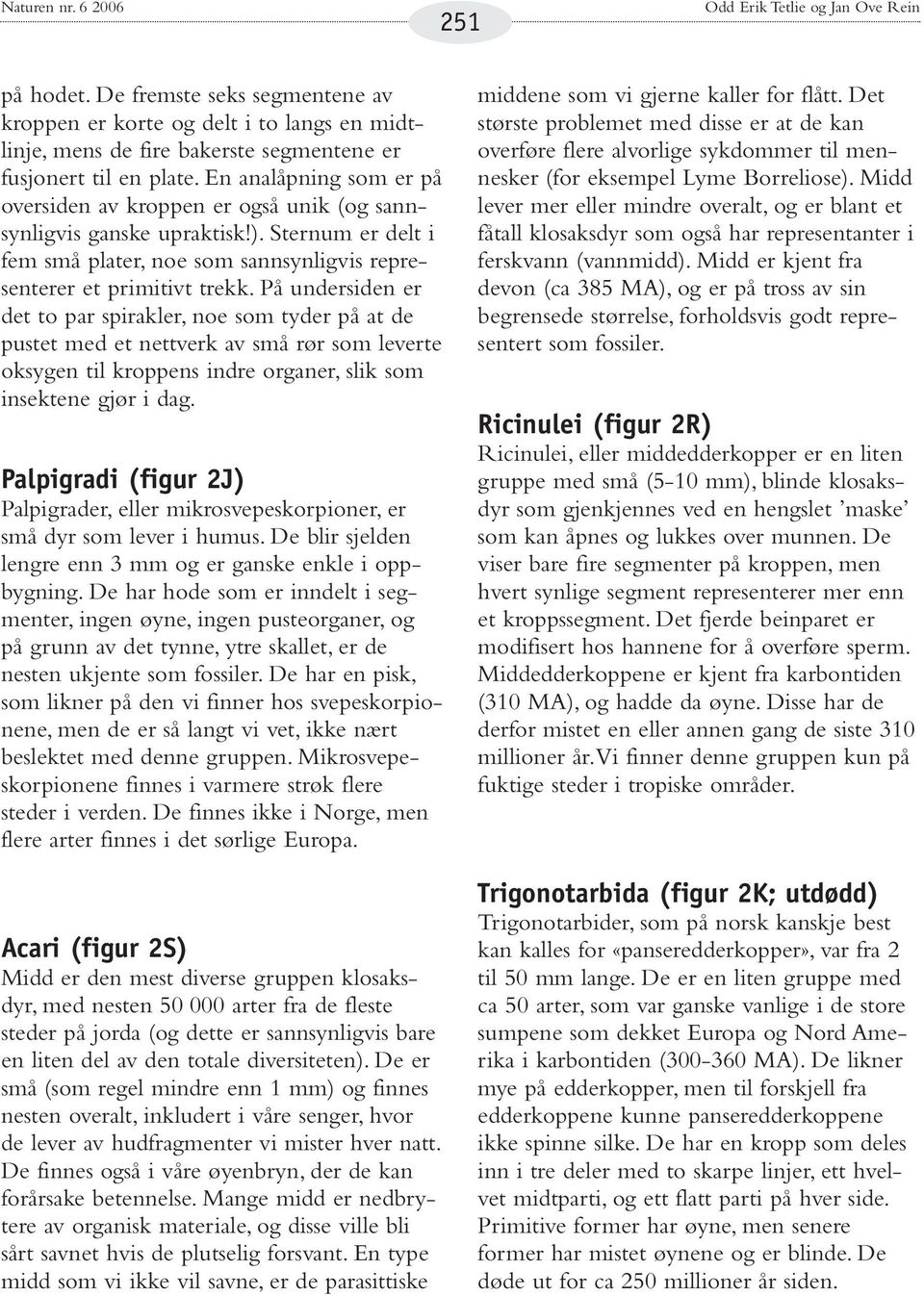 En analåpning som er på oversiden av kroppen er også unik (og sannsynligvis ganske upraktisk!). Sternum er delt i fem små plater, noe som sannsynligvis representerer et primitivt trekk.