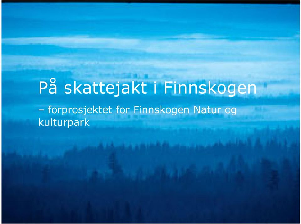 Finnskogen forprosjektet