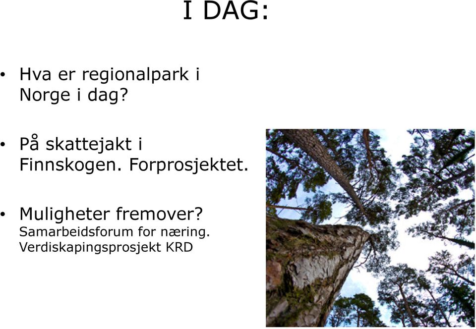 Forprosjektet. Muligheter fremover?