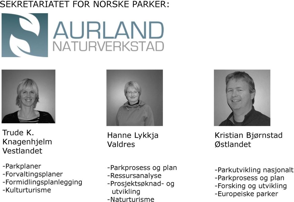 -Kulturturisme Hanne Lykkja Valdres -Parkprosess og plan -Ressursanalyse