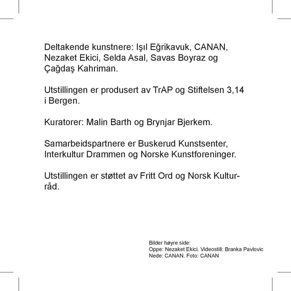 Samarbeidspartnere er Buskerud Kunstsenter, Interkultur Drammen og Norske Kunstforeninger.