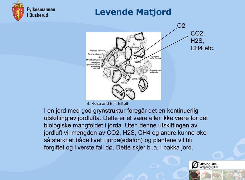 Dette er et være eller ikke være for det biologiske mangfoldet i jorda.