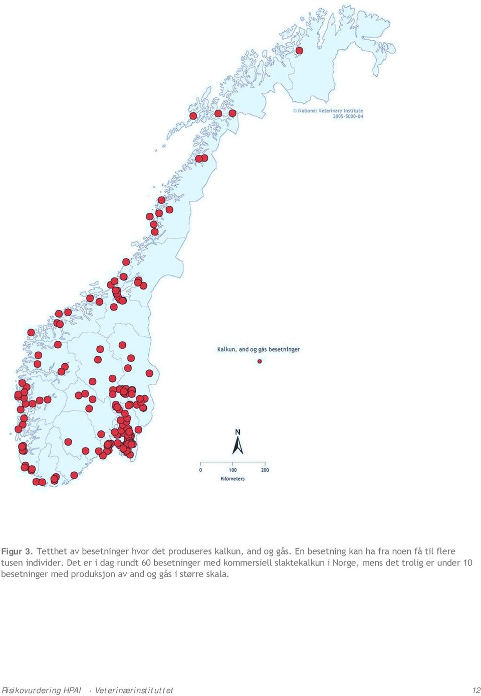 Det er i dag rundt 60 besetninger med kommersiell slaktekalkun i Norge, mens det