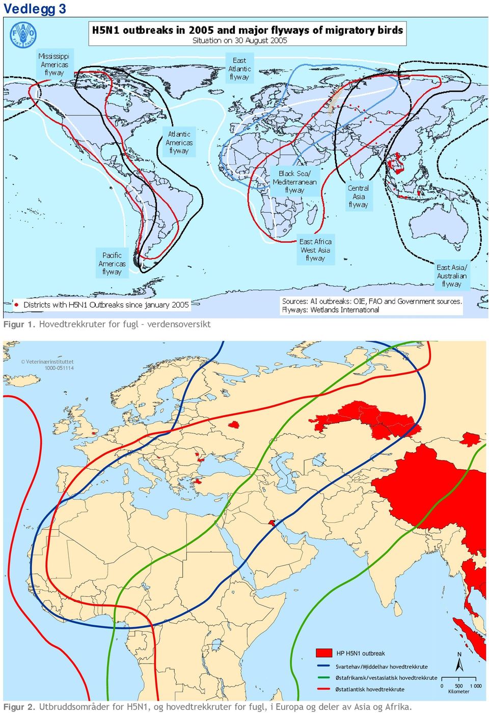 outbreak Svartehav/Middelhav hovedtrekkrute Østafrikansk/vestasiatisk