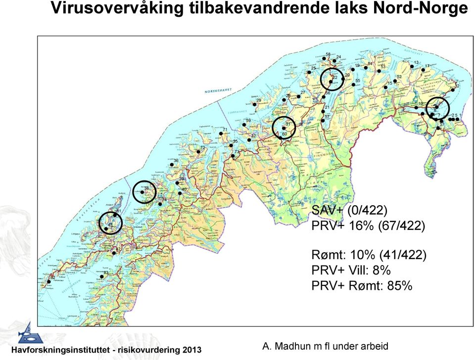 (67/422) Rømt: 10% (41/422) PRV+ Vill: