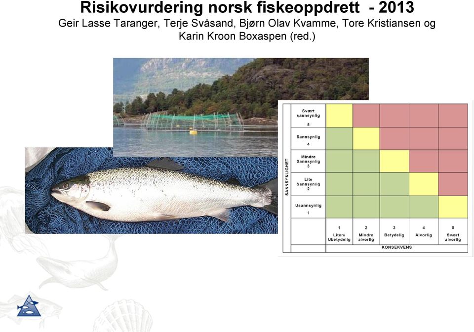 Svåsand, Bjørn Olav Kvamme, Tore