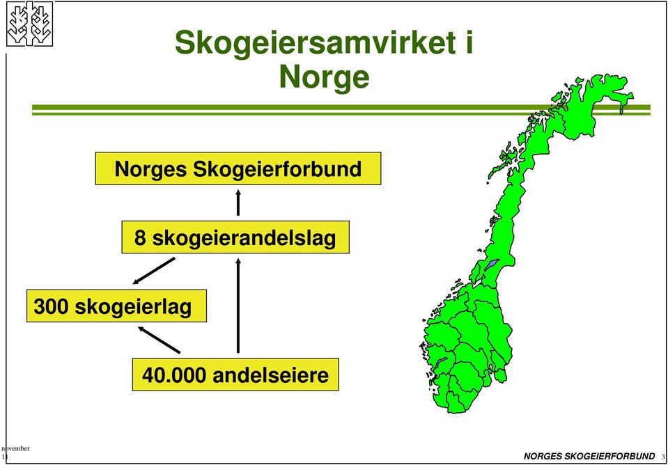 skogeierandelslag 300