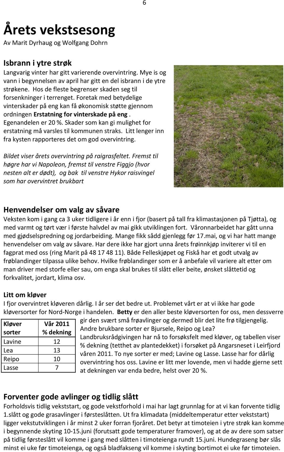 Foretak med betydelige vinterskader på eng kan få økonomisk støtte gjennom ordningen Erstatning for vinterskade på eng. Egenandelen er 20 %.