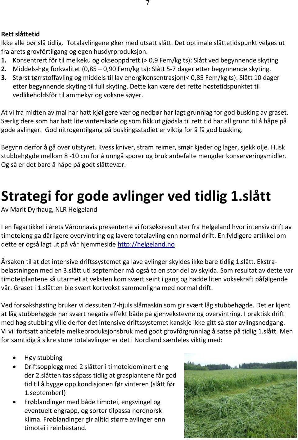 Størst tørrstoffavling og middels til lav energikonsentrasjon(< 0,85 Fem/kg ts): Slått 10 dager etter begynnende skyting til full skyting.