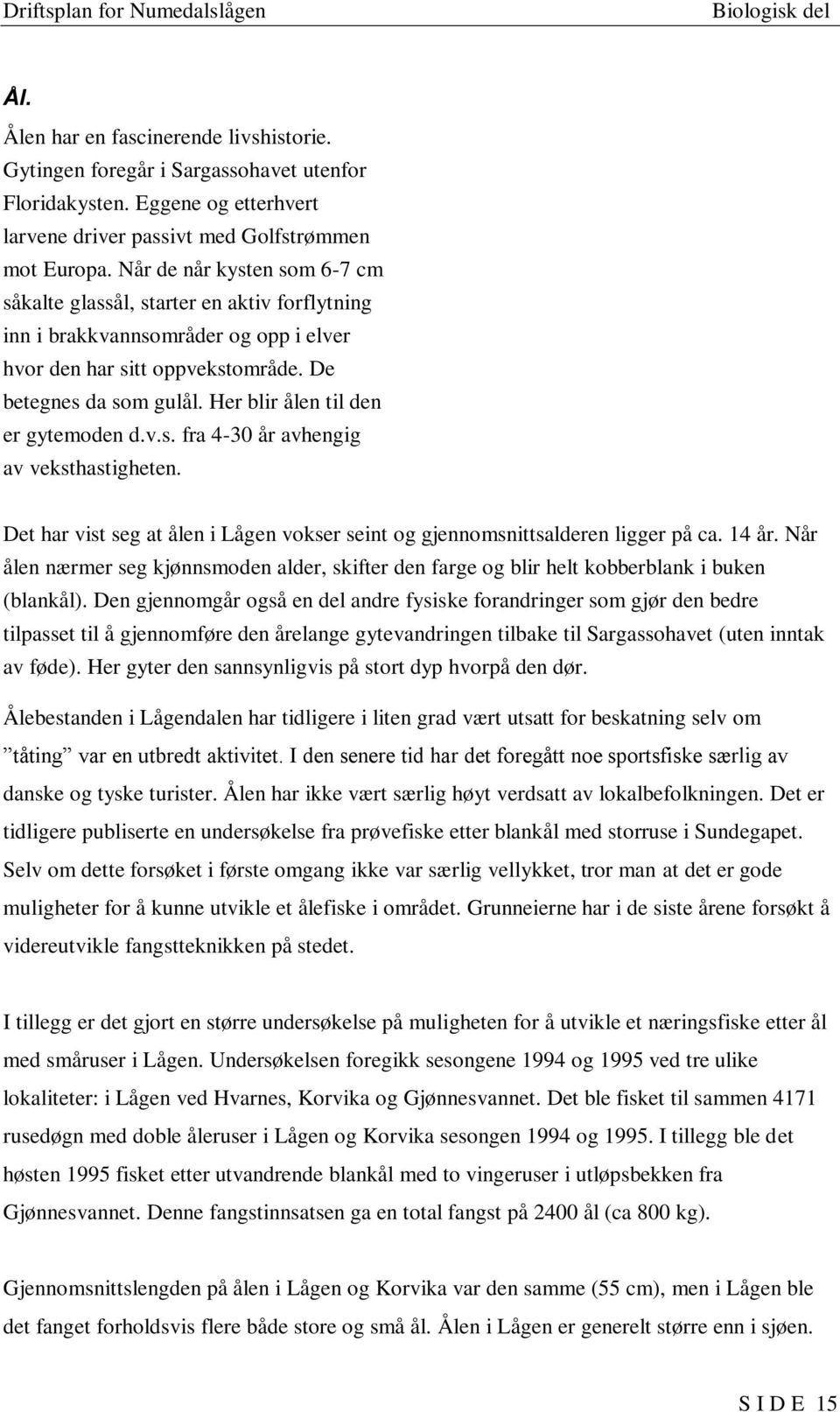 Her blir ålen til den er gytemoden d.v.s. fra 4-30 år avhengig av veksthastigheten. Det har vist seg at ålen i Lågen vokser seint og gjennomsnittsalderen ligger på ca. 14 år.