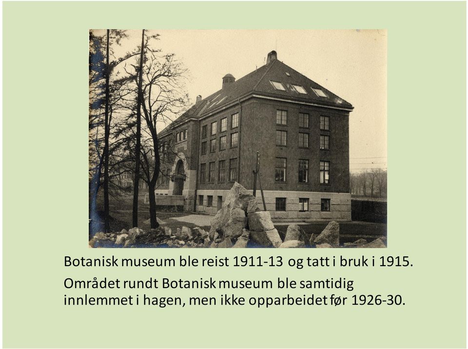 Området rundt Botanisk museum ble
