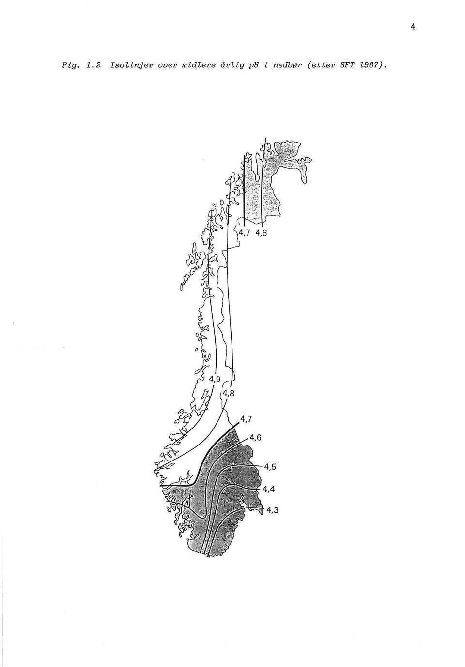 midere årig ph i