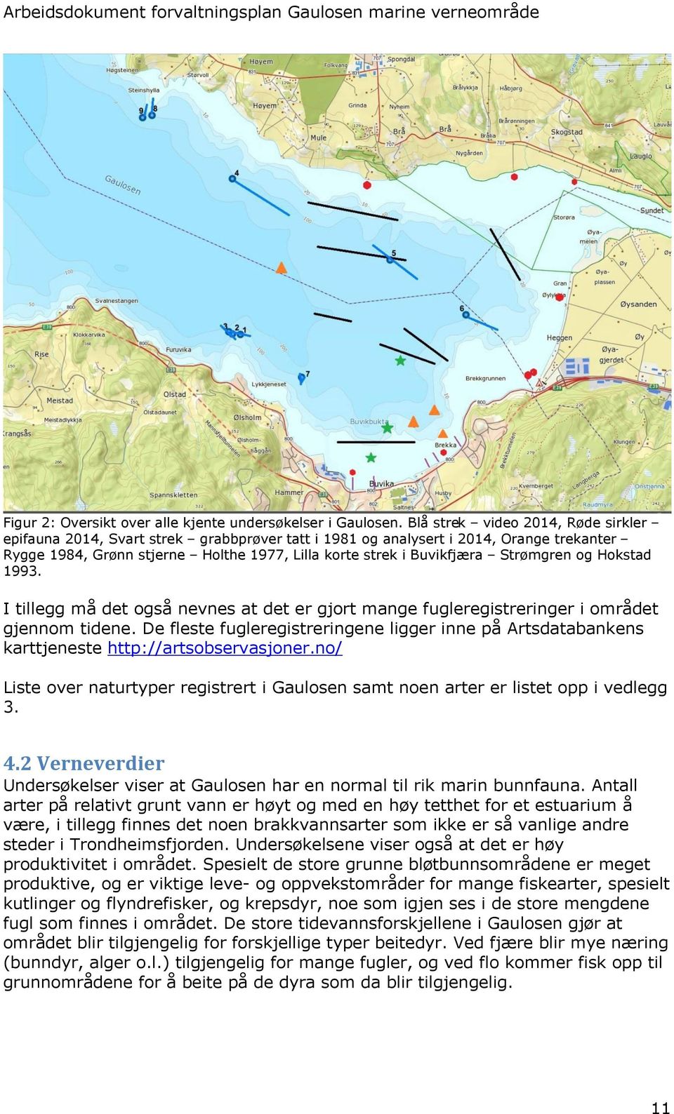 Strømgren og Hokstad 1993. I tillegg må det også nevnes at det er gjort mange fugleregistreringer i området gjennom tidene.