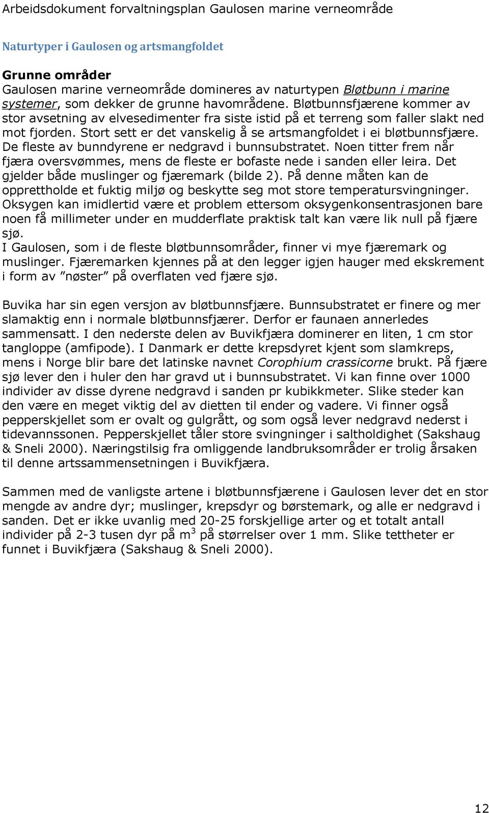 De fleste av bunndyrene er nedgravd i bunnsubstratet. Noen titter frem når fjæra oversvømmes, mens de fleste er bofaste nede i sanden eller leira. Det gjelder både muslinger og fjæremark (bilde 2).