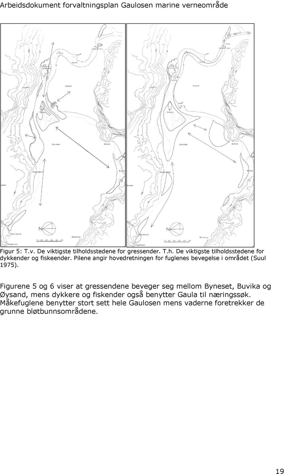 Figurene 5 og 6 viser at gressendene beveger seg mellom Byneset, Buvika og Øysand, mens dykkere og fiskender