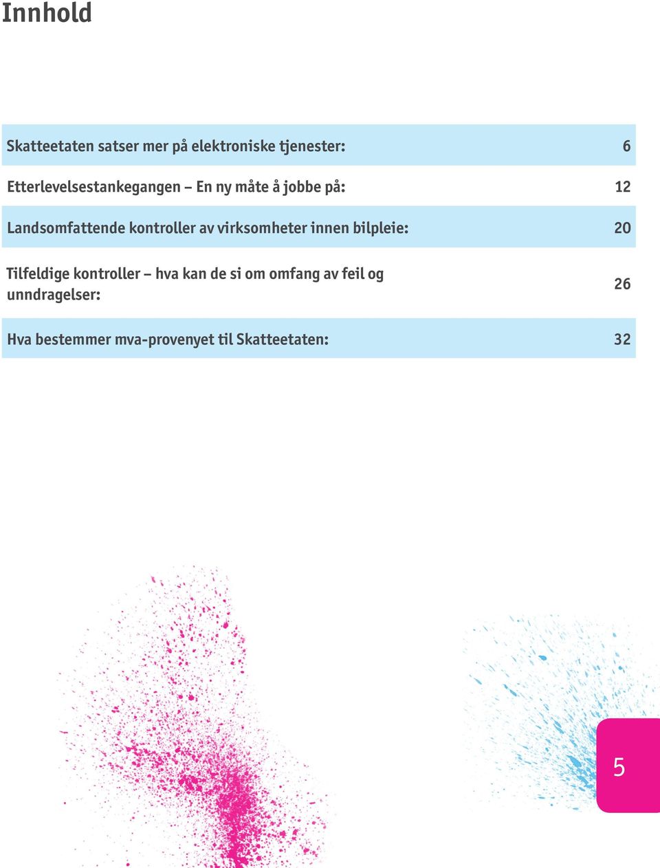 kontroller av virksomheter innen bilpleie: 20 Tilfeldige kontroller hva