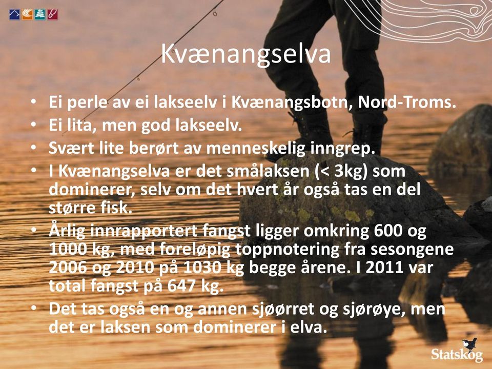 I Kvænangselva er det smålaksen (< 3kg) som dominerer, selv om det hvert år også tas en del større fisk.