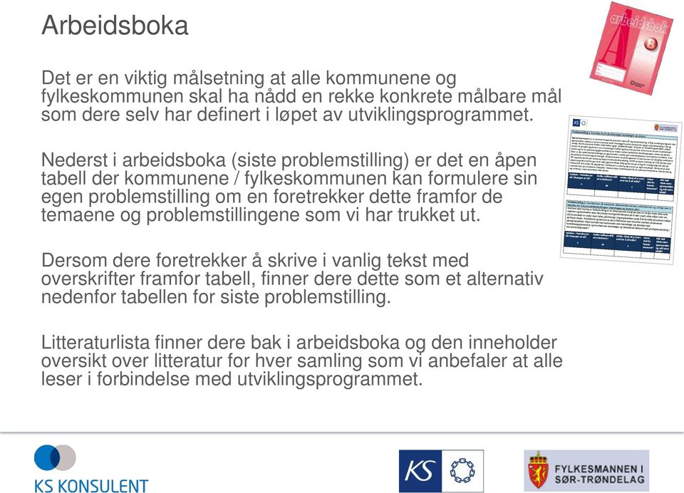 problemstillingene som vi har trukket ut.