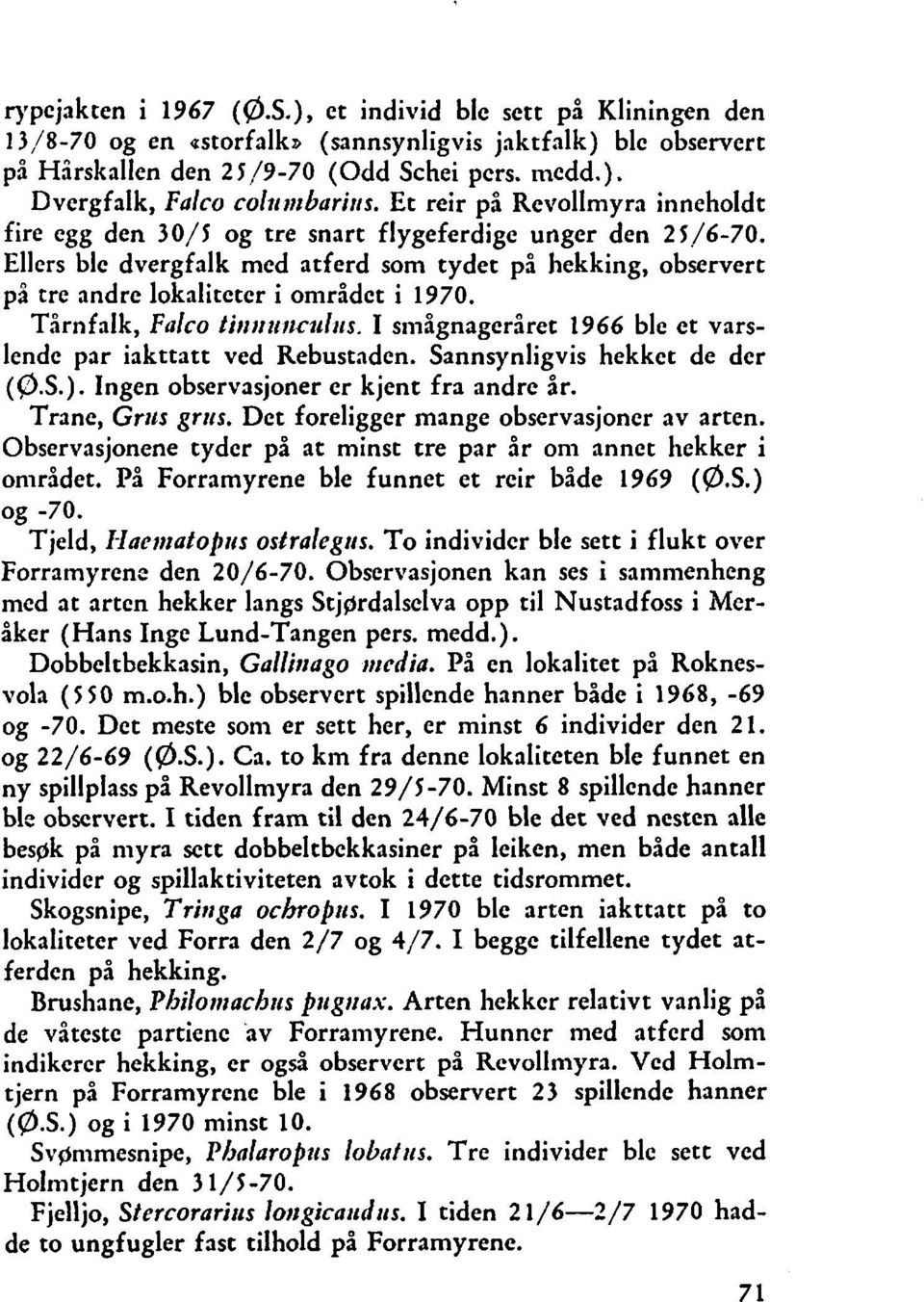 Ellers ble dvergfalk med atferd som tydet på hekking, observert p2 tre andre lokaliteter i omrldet i 1970. Tårnfalk, Falco tirt~turrcul~rs.