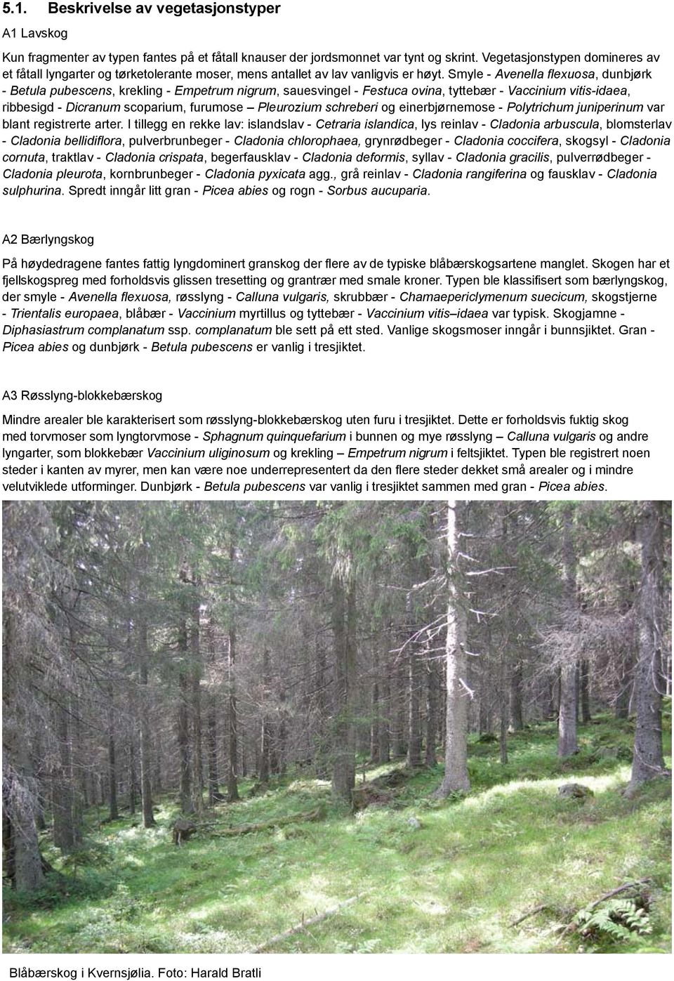 Smyle - Avenella flexuosa, dunbjørk - Betula pubescens, krekling - Empetrum nigrum, sauesvingel - Festuca ovina, tyttebær - Vaccinium vitis-idaea, ribbesigd - Dicranum scoparium, furumose Pleurozium