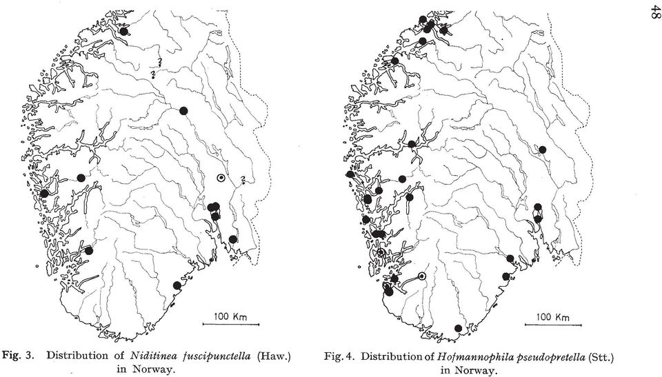 fuscipunctella (Haw.) in Norway.