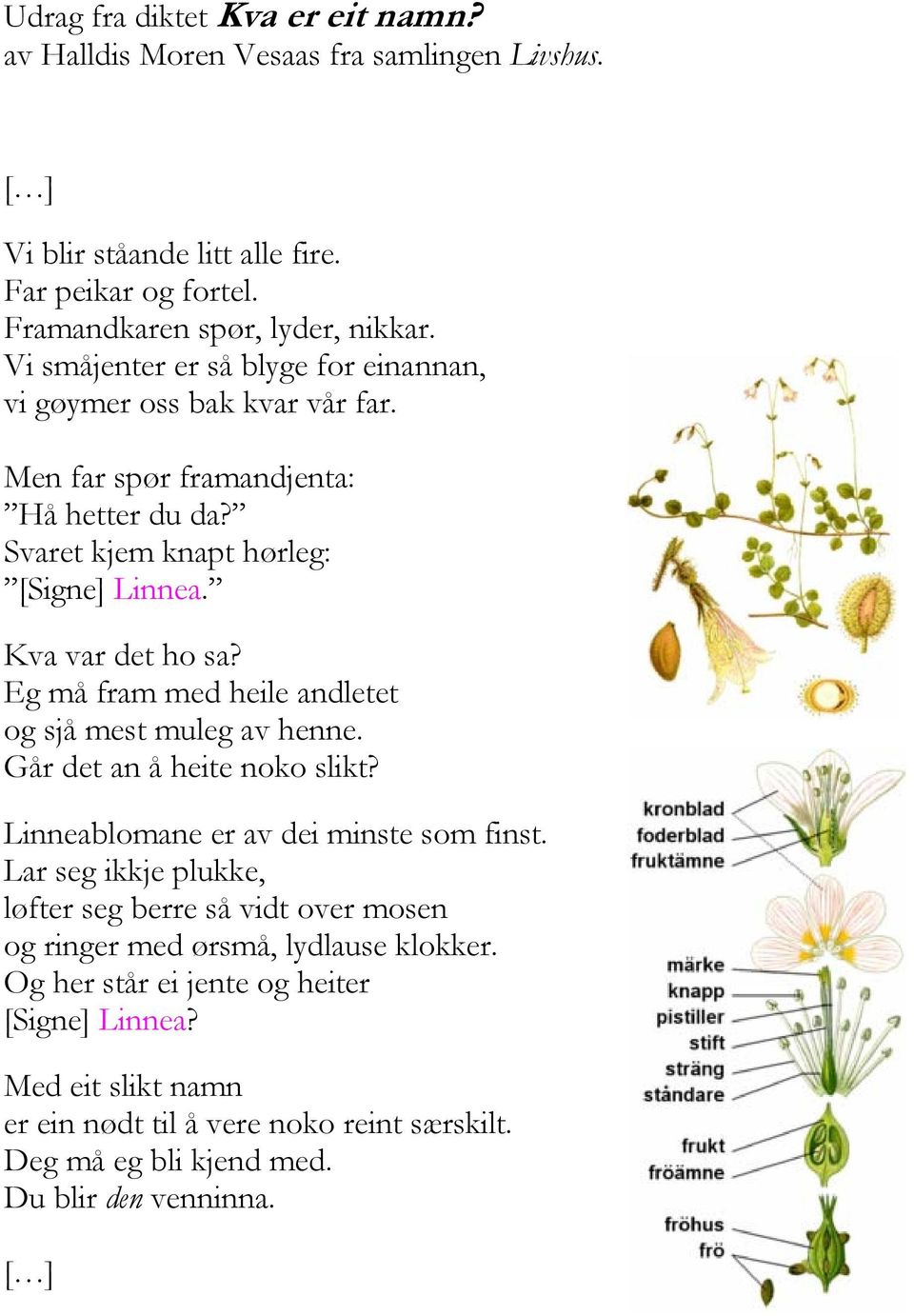 Eg må fram med heile andletet og sjå mest muleg av henne. Går det an å heite noko slikt? Linneablomane er av dei minste som finst.