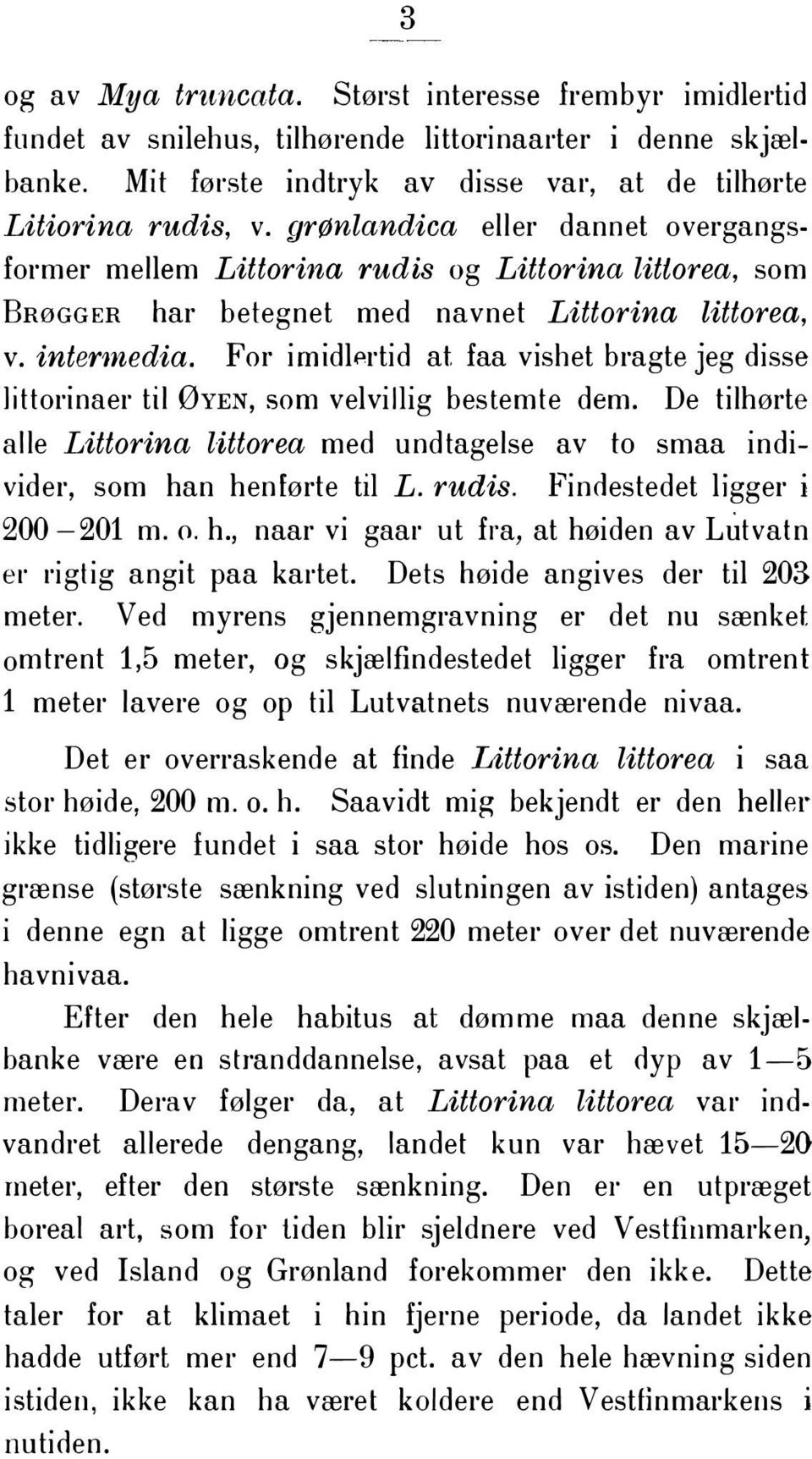 For irnidlt>rtid at faa vishet bragte jeg disse littorinaer til ØYEN, som velvillig bestemte dem. De tilhørte alle Littorina littorea med undtagelse av to smaa individer, som han henførte til L.