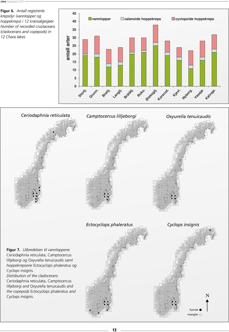 Langtj. Bråtåtj. Roko. Øiskogtj. Korsrud. Kjevl. Nyborg. Vassjø. Kalvsjø. Ceriodaphnia reticulata Camptocercus lilljeborgi Oxyurella tenuicaudis Ectocyclops phaleratus Cyclops insignis Figur 7.