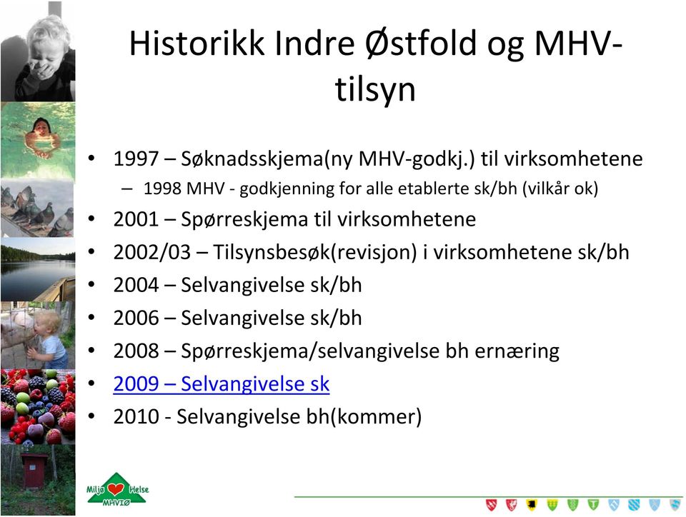 til virksomhetene 2002/03 Tilsynsbesøk(revisjon) i virksomhetene sk/bh 2004 Selvangivelse sk/bh