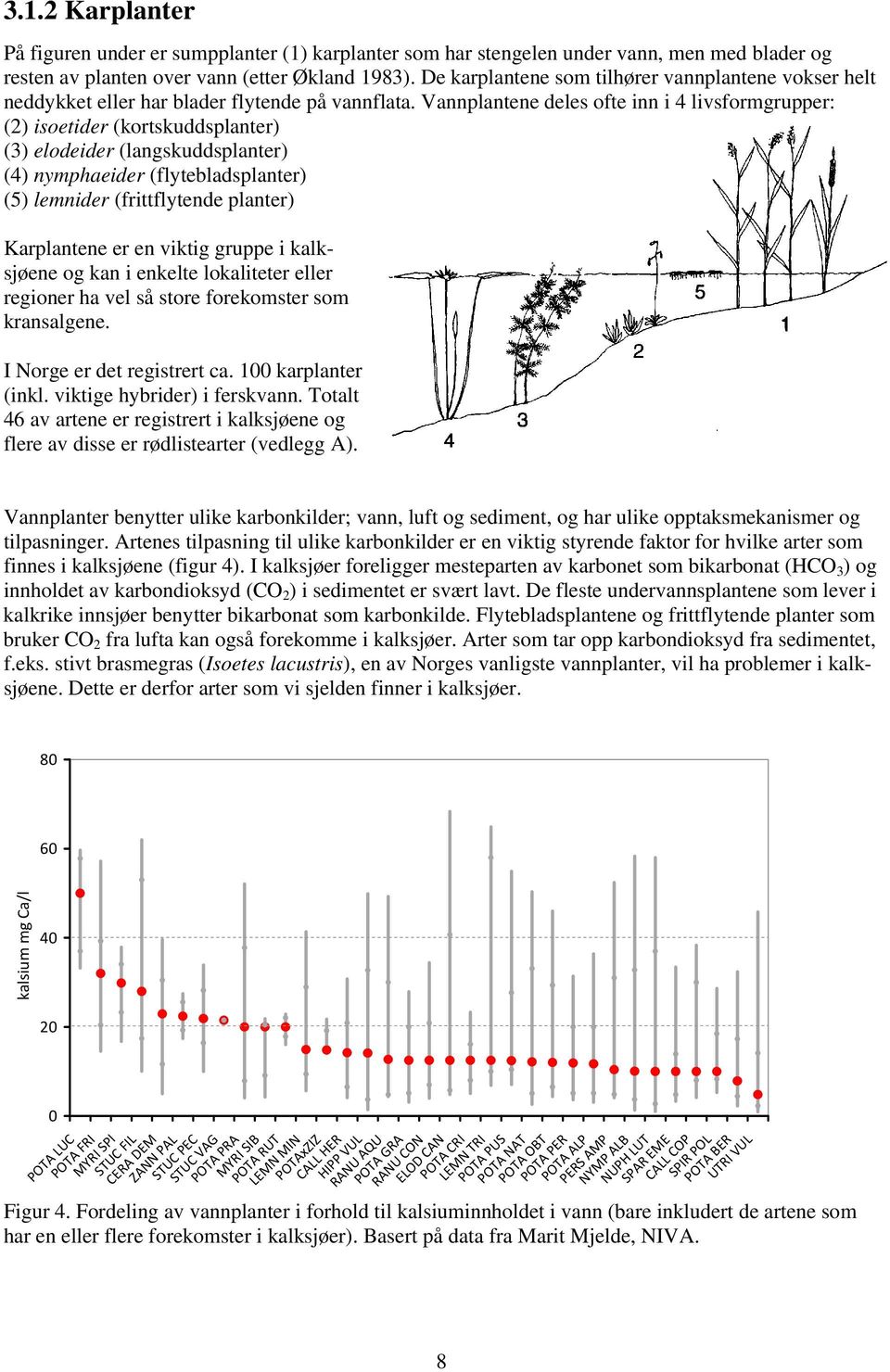 Vannplantene deles ofte inn i 4 livsformgrupper: (2) isoetider (kortskuddsplanter) (3) elodeider (langskuddsplanter) (4) nymphaeider (flytebladsplanter) (5) lemnider (frittflytende planter)