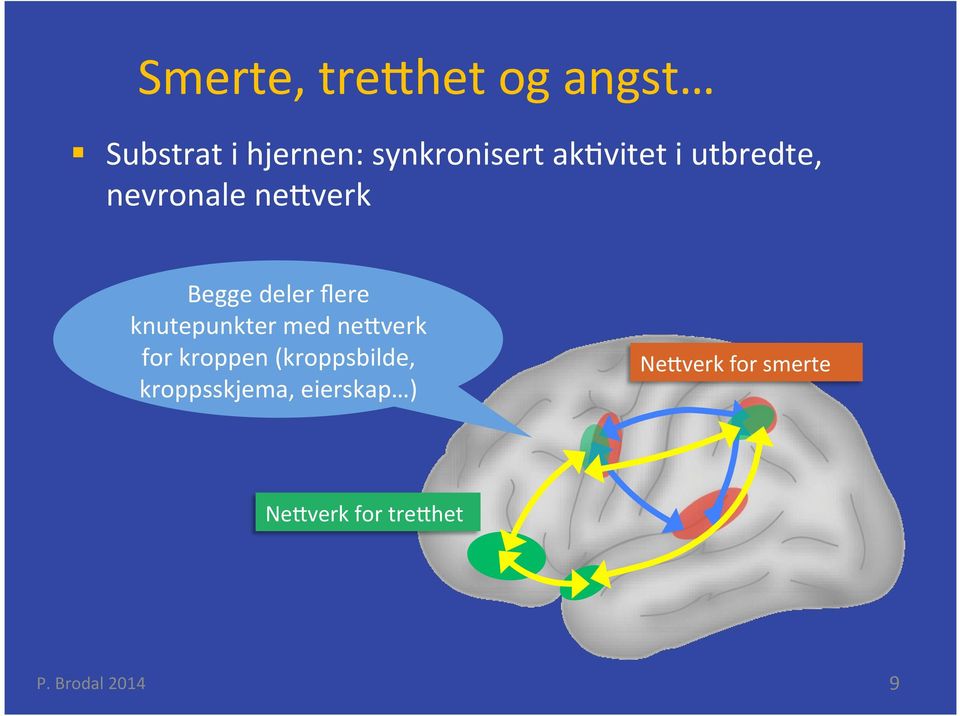 knutepunkter med ne verk for kroppen (kroppsbilde,