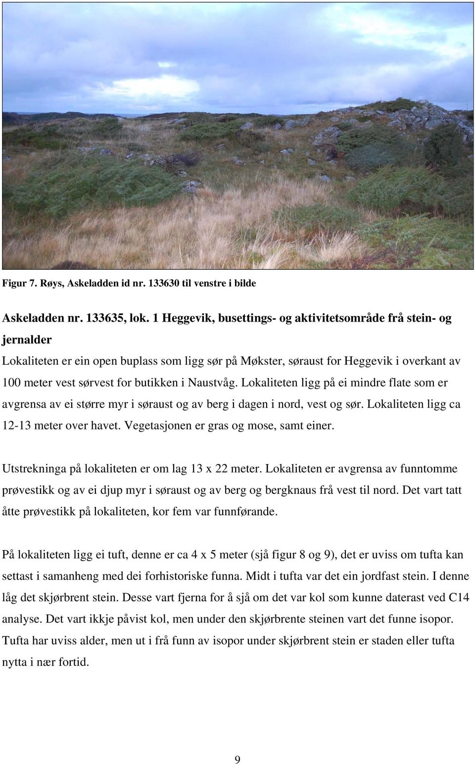 Naustvåg. Lokaliteten ligg på ei mindre flate som er avgrensa av ei større myr i søraust og av berg i dagen i nord, vest og sør. Lokaliteten ligg ca 12-13 meter over havet.