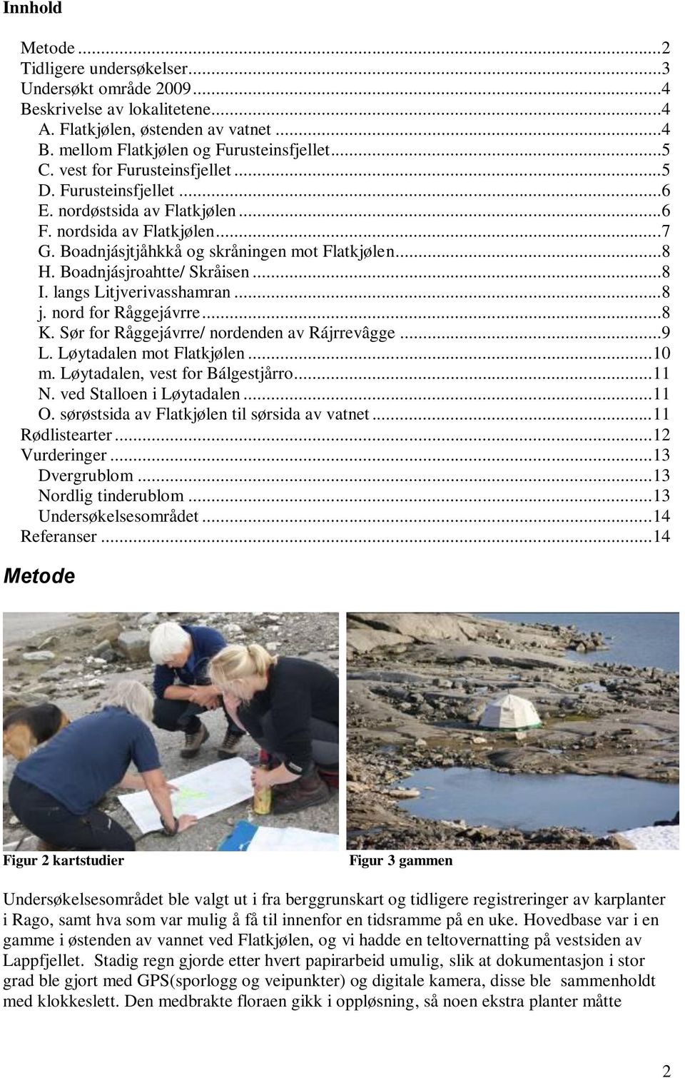 Boadnjásjroahtte/ Skråisen...8 I. langs Litjverivasshamran...8 j. nord for Råggejávrre...8 K. Sør for Råggejávrre/ nordenden av Rájrrevâgge...9 L. Løytadalen mot Flatkjølen... 10 m.