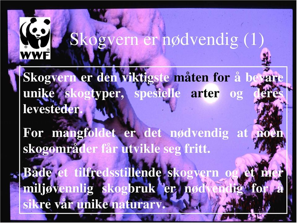 For mangfoldet er det nødvendig at noen skogområder får utvikle seg fritt.