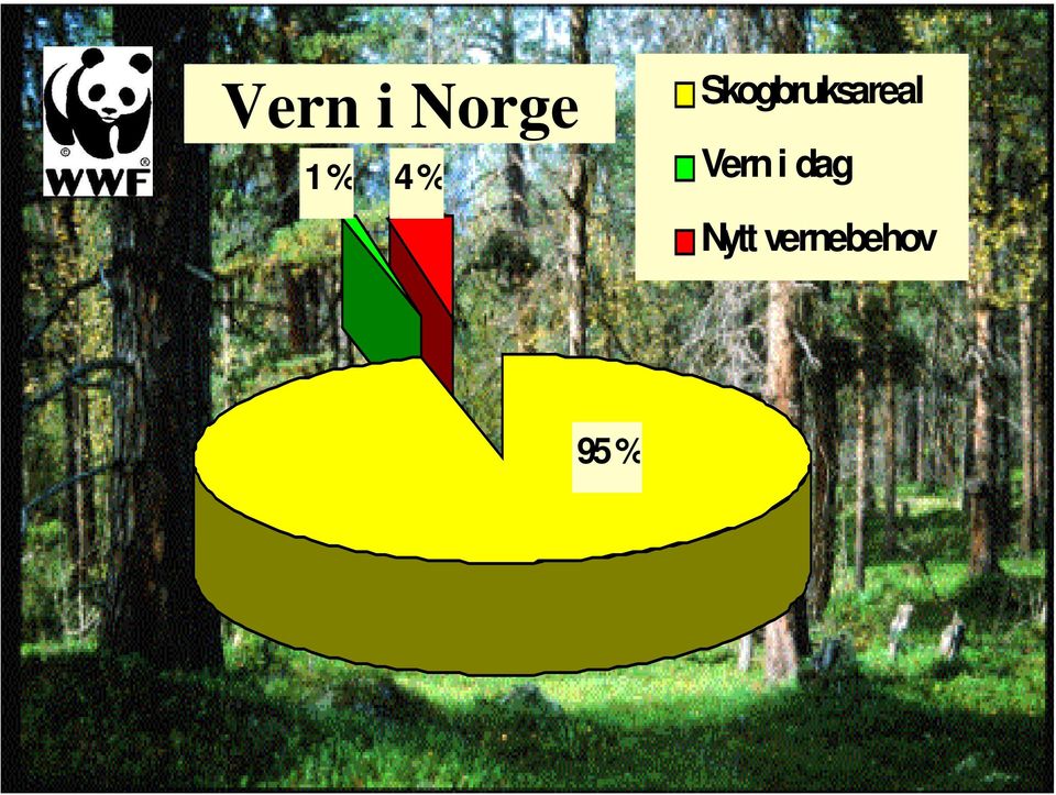 Skogbruksareal