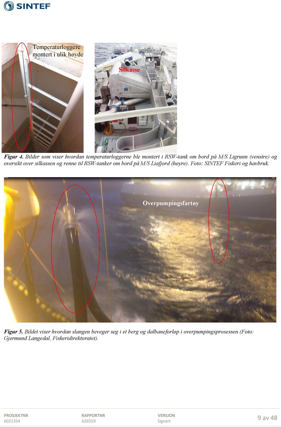 over silkassen og renne til RSW-tanker om bord på M/S Liafjord (høyre). Foto: SINTEF Fiskeri og havbruk.