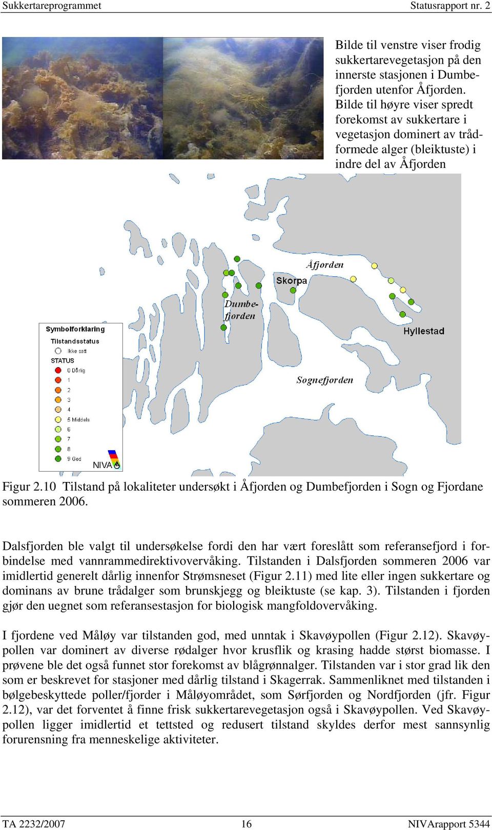 10 Tilstand på lokaliteter undersøkt i Åfjorden og Dumbefjorden i Sogn og Fjordane sommeren 2006.