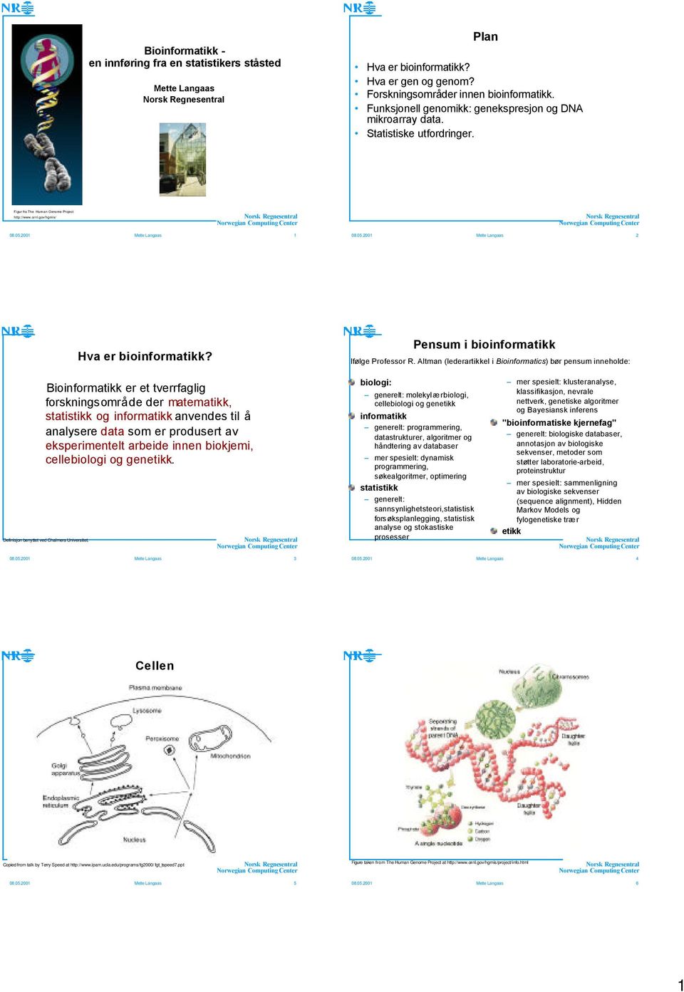 Pensum i bioinformatikk Ifølge Professor R.