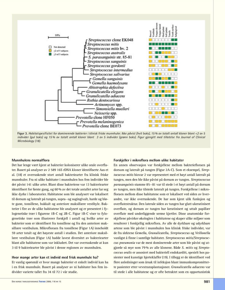 Figur gjengitt med tillatelse fra Journal of Clinical Microbiology (18). Munnhulens normalflora Det har lenge vært kjent at bakterier koloniserer ulike orale overflater.