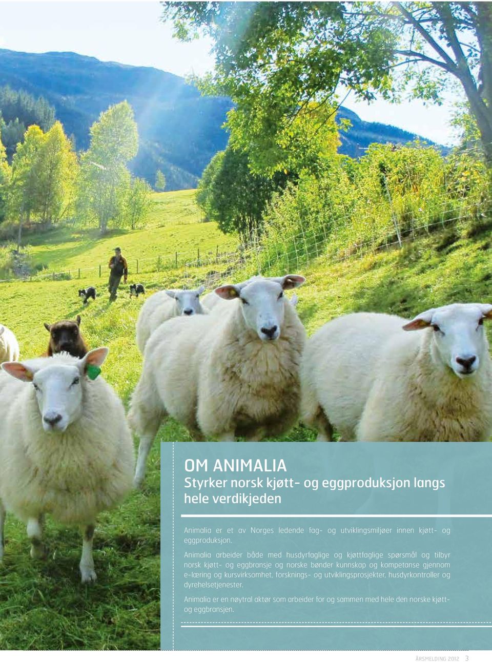 Animalia arbeider både med husdyrfaglige og kjøttfaglige spørsmål og tilbyr norsk kjøtt- og eggbransje og norske bønder kunnskap og